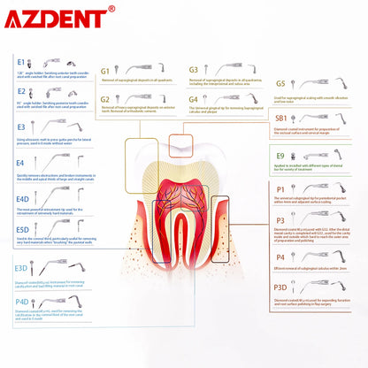 Insert ultrason pour EMS/Woodpecker .