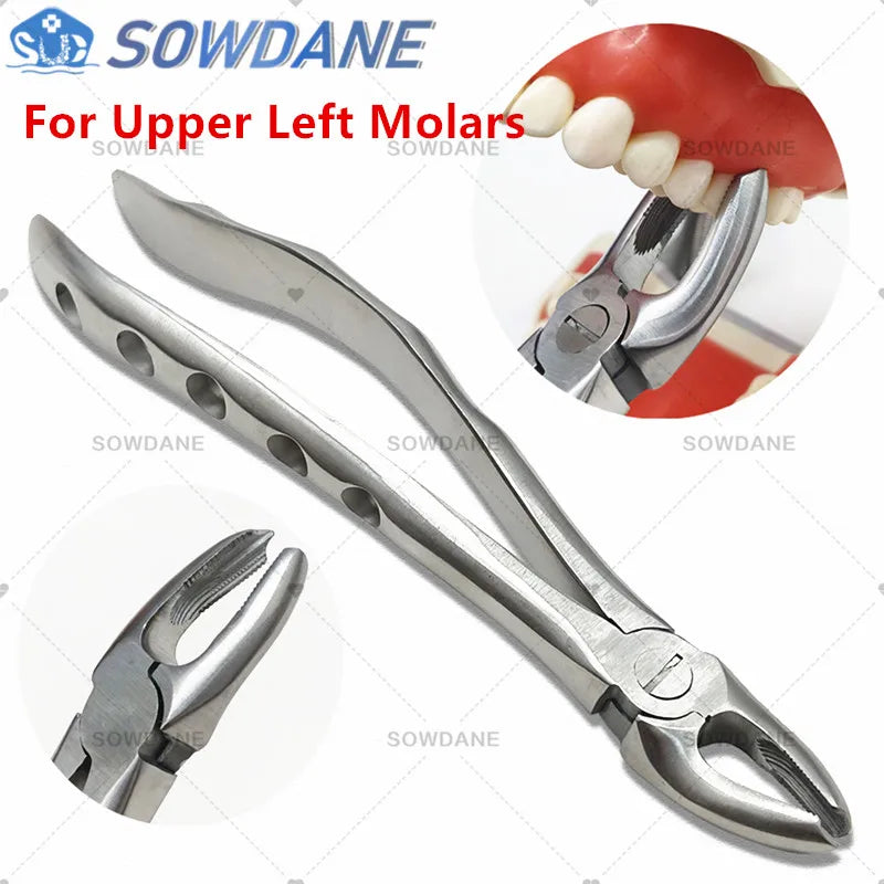 SOWDANE Davier dentaire