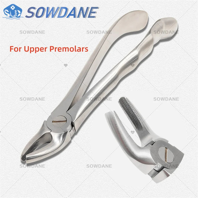 SOWDANE Davier dentaire