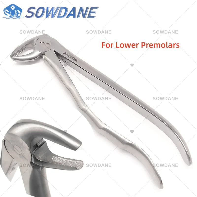 SOWDANE Davier dentaire