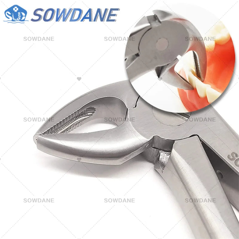 SOWDANE Davier dentaire