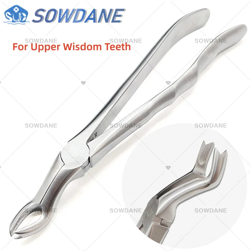 SOWDANE Davier dentaire