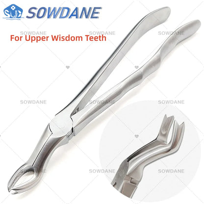 SOWDANE Davier dentaire