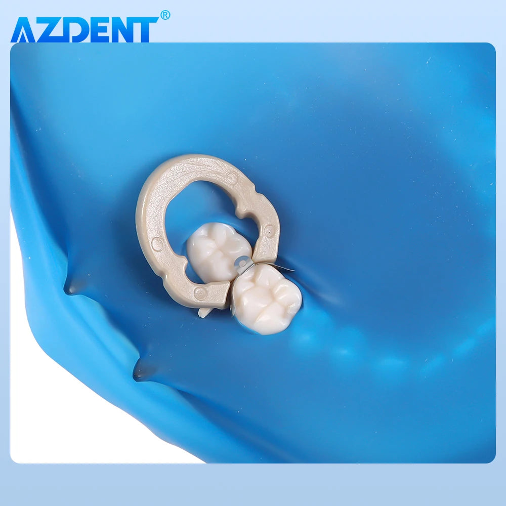 AZDENT Matrices sectorielles 3.5/4.5/5.5/6.5mm. 50 Pcs/boîte