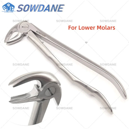 SOWDANE Davier dentaire