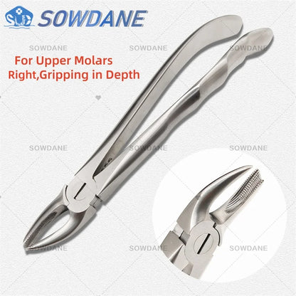 SOWDANE Davier dentaire