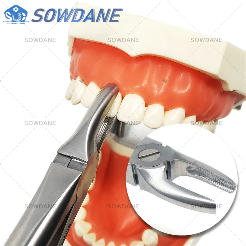 SOWDANE Davier dentaire