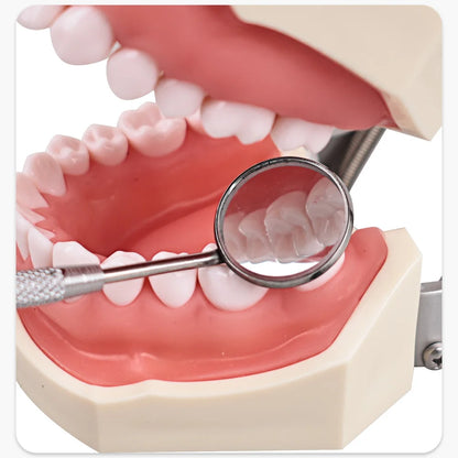 Miroirs dentaires 12 Pcs/boîte