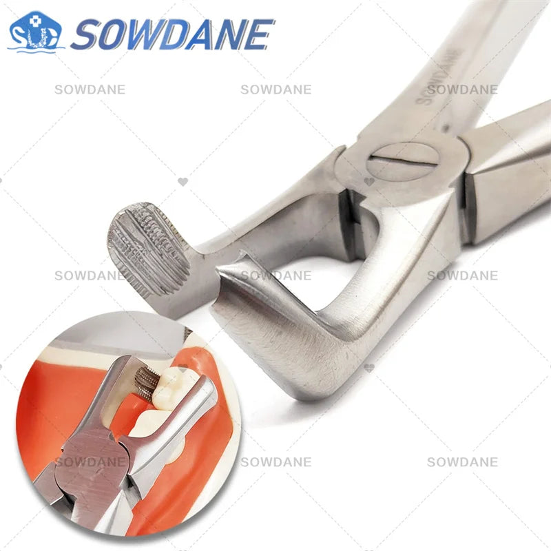 SOWDANE Davier dentaire