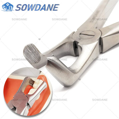 SOWDANE Davier dentaire