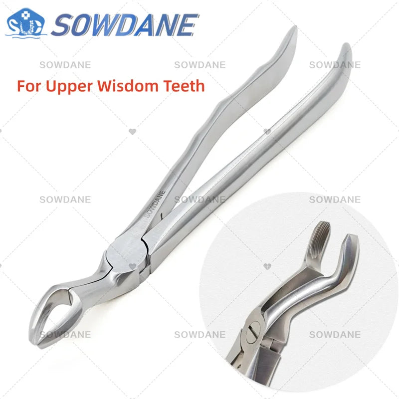 SOWDANE Davier dentaire