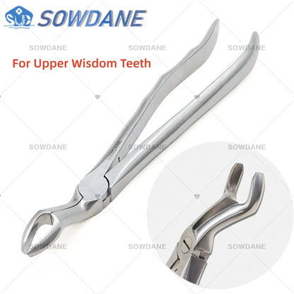 SOWDANE Davier dentaire