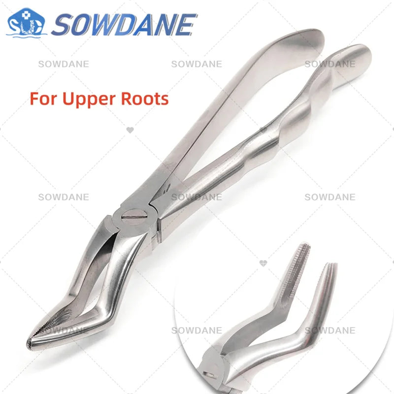 SOWDANE Davier dentaire