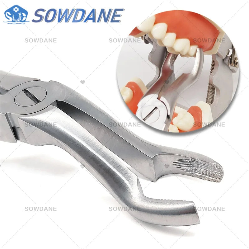 SOWDANE Davier dentaire