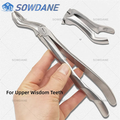 SOWDANE Davier dentaire