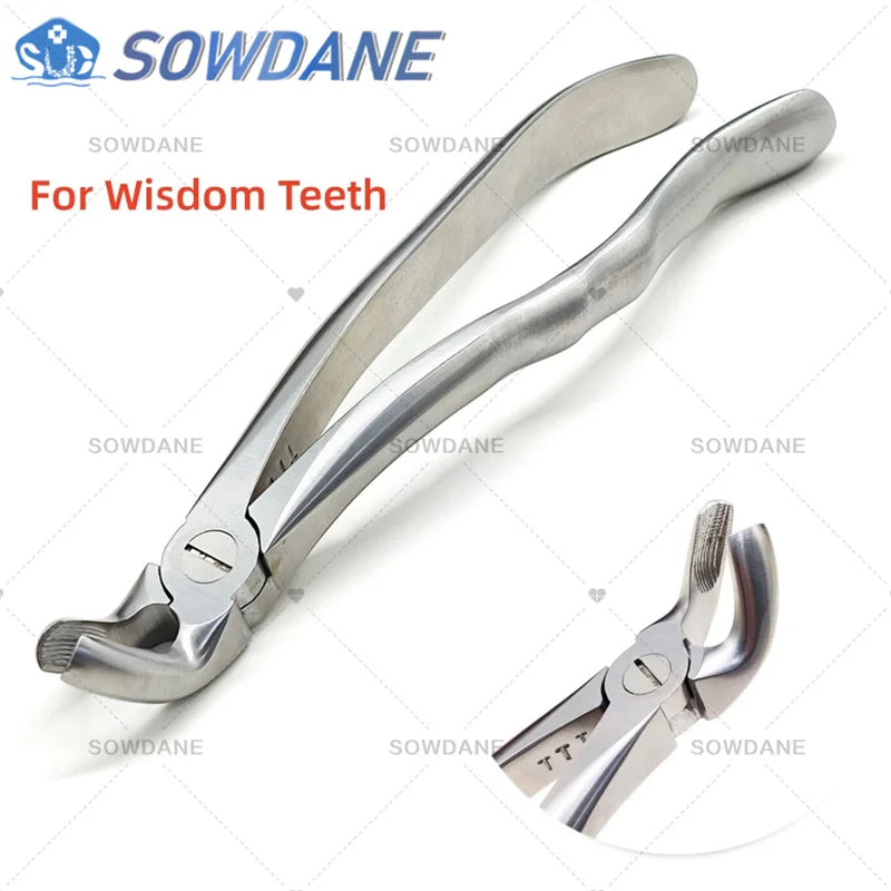 SOWDANE Davier dentaire