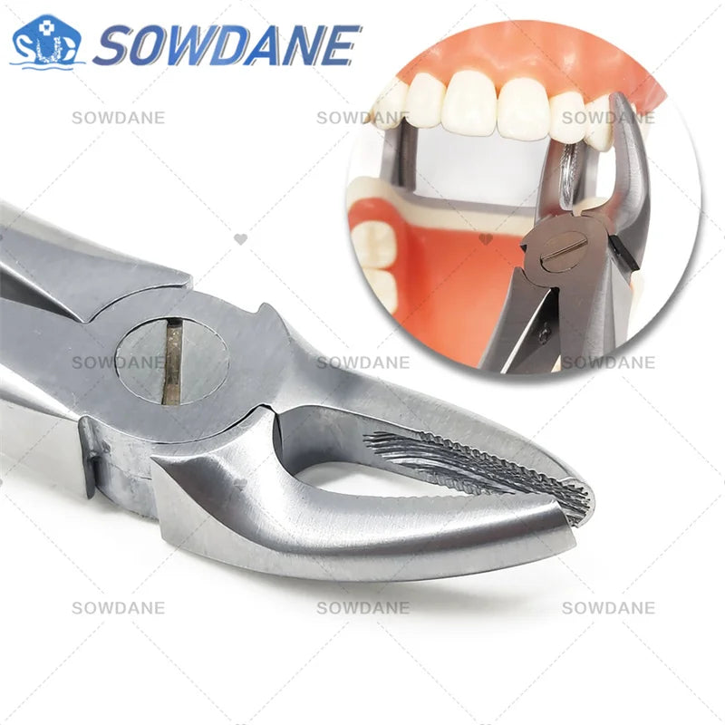 SOWDANE Davier dentaire