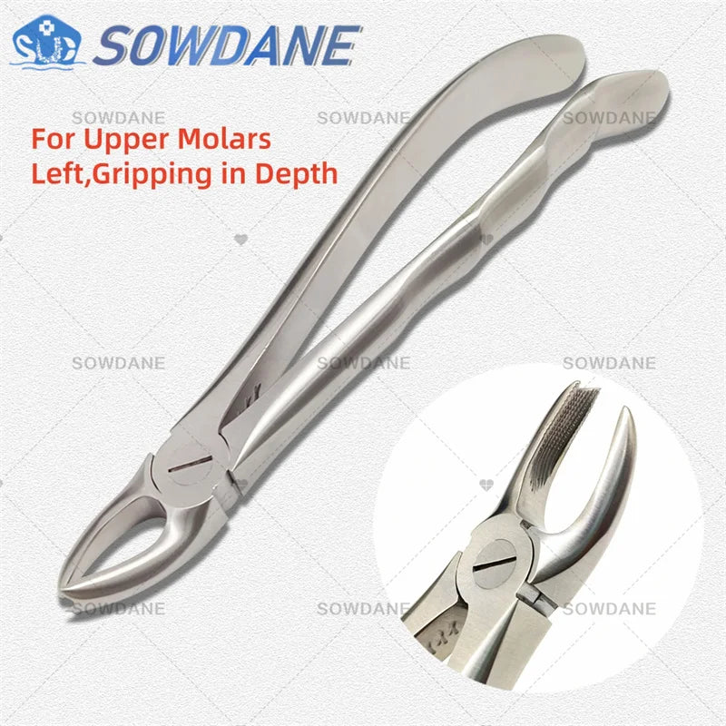 SOWDANE Davier dentaire