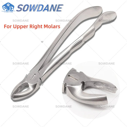 SOWDANE Davier dentaire