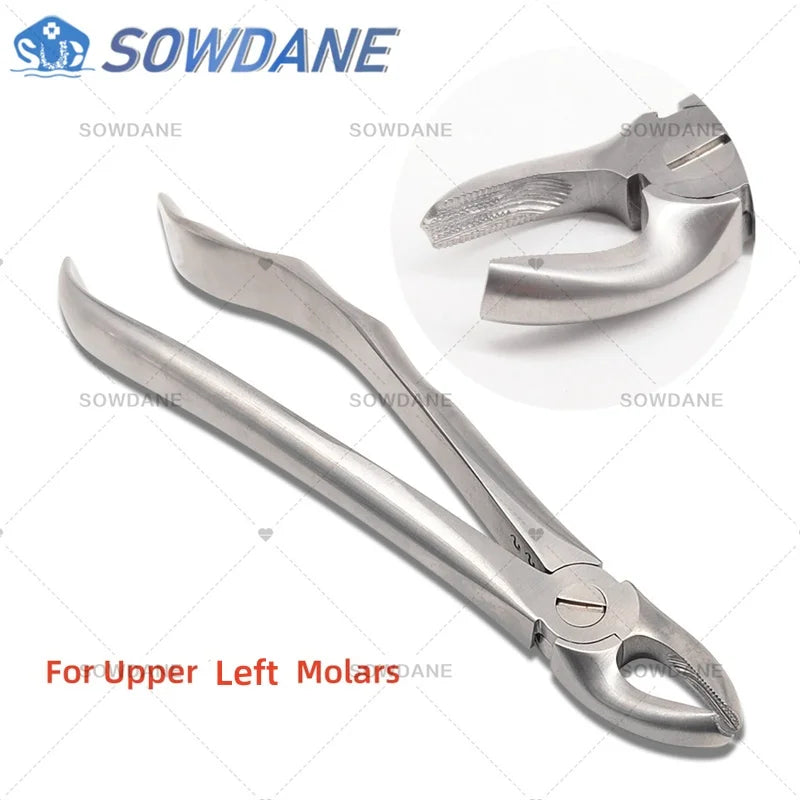 SOWDANE Davier dentaire