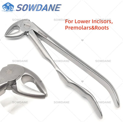 SOWDANE Davier dentaire