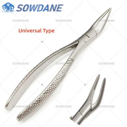 SOWDANE Davier dentaire