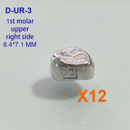 Couronnes temporaires pédiatriques 12Pcs/Boîte