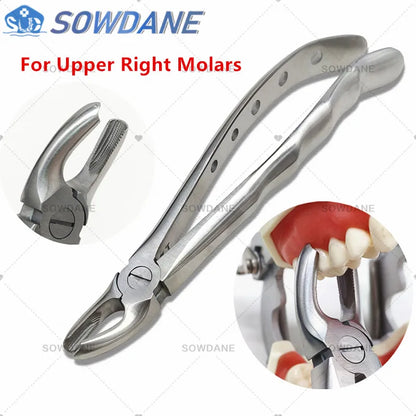 SOWDANE Davier dentaire