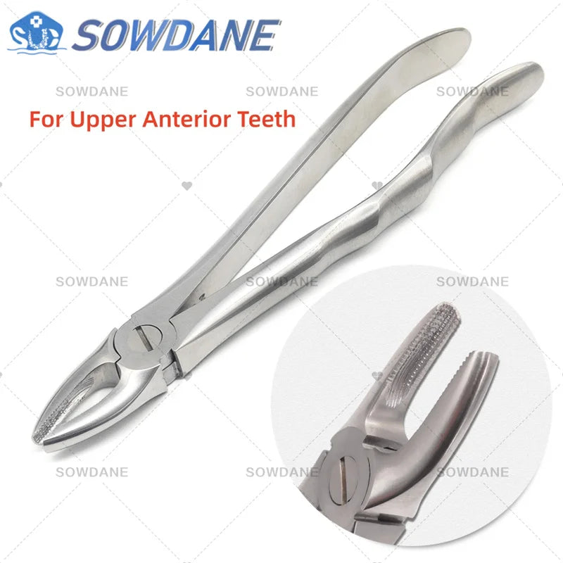 SOWDANE Davier dentaire